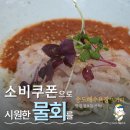 하모해수욕장 | [2025 서구 SNS 서포터즈] 민생안정 소비쿠폰으로 만끽한 부산 송도해수욕장 하모물회 추천!