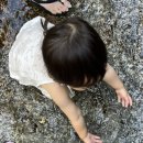 (주)벧엘 | 구례 지리산 피아골 “벧엘산장” 내돈내산 후기
