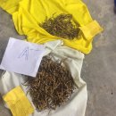 히말라야 부탄 왕국, 동충하초 경매 최고가 경신 ··· 킬로그램당 4천만원 돌파 이미지