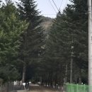 가리왕산 정원 캠핑장 이미지