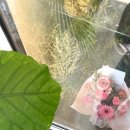 신창동물병원 | 광주꽃집 그린밋 : 감성 가득한 광주꽃다발 만들기 💐