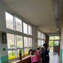 다부초등학교 이미지