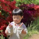 무양공원 놀이터(무양) 이미지