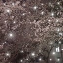 부산시립정신병원 이미지