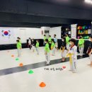 THE바른태권도 이미지