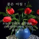 멋진인생 이미지