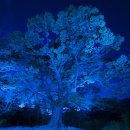 7tree빌딩 이미지