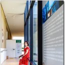 일랑일랑 이미지