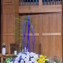 원주제일 이미지