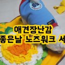 개좋은날 이미지