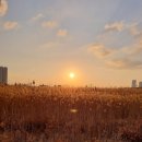 스뎅식당 송도신도시점 이미지