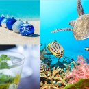 웰빙요가(입문) 이미지