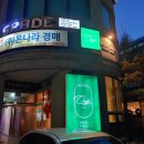 오쥐(oggi) 이미지