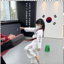 대한미르태권도장 이미지