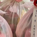 초심청과