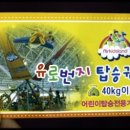 유로랜드 이미지