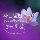 (주)그래오늘은 이미지