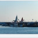 외딴농장 이미지