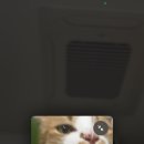 마중물주