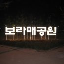 보라매공원 산책 (밤) 이미지