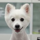 타잔동물병원 이미지