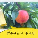 황도