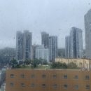 서울비29이비인후과의원 이미지