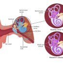 정상한의원 이미지