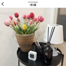 우리음악피아노2호점학원 이미지