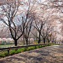 고남저수지 이미지