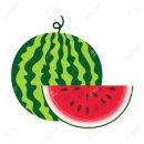 바람의 정원 이미지
