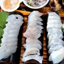 바다수산 이미지