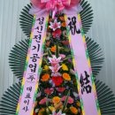 성신전기공업 이미지