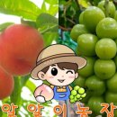 알알이농장