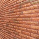 사파동230 이미지