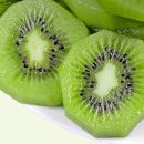 참다래 이미지