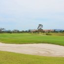 솔라고CC 라고 이미지