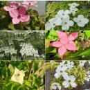 이쁜농장 이미지