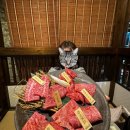 지비 | 마쓰야마 여행 | 지비에 고기 맛집 狩人の空 다녀온 후기
