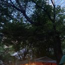 한국전력공사 마포용산지사 이미지