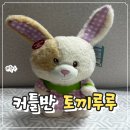 꼬꼬맘보다 반응 좋았어요! 12개월 18개월 아기장난감 커들반 토끼 루루 후기