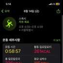 기미상궁 이미지