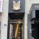 야옹아놀자캣카페 - 연수구 샘말로8번길 7-7 | 아이들이 고양이보다 더 신난 날, [야옹아놀자캣카페 동성로점]에 다녀왔어요