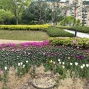 청계중앙공원 1 이미지