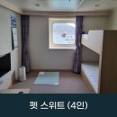 싼타모 | 진도-제주 산타모니카호와 목포-제주 퀸제누비아호 반려견동반 탑승비교 후기
