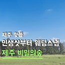 이니스프리동산점 | 제주도 여행 핫플 숲속이 온통 사진명소 제주 동쪽 비밀의숲 입장료 주차