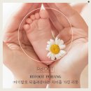 포항 발 각질 관리 전문 샵 :) 리풋 포항점 시크릿 패디플래닝
