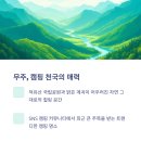 숲속힐링매니아