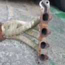 100프로카센타 이미지