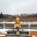 주정차CCTV-중앙지구대 | 겨울 제주도 여행 2박3일 코스 1일차 (일정표 공유)⛄